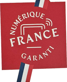 Logo Numérique France Garanti