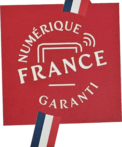 Logo Numérique France Garanti